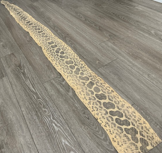 Sand Natural Pattern Genuine Anaconda Snake Leather 382 product photo 1