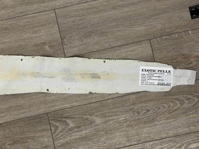 Green Natural Genuine Anaconda Snakeskin Leather real hide snake skin python 345