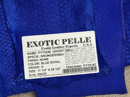 Royal Blue Genuine Python Leather real hide snake skin Rattle short tail Boa 167