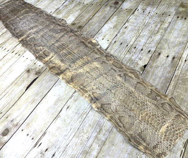 Burmese Python with Gold tint Genuine Snake Leather real hide snake skin boa 113