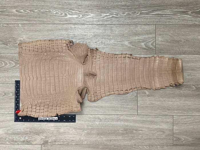 XL Tan Almond Genuine Crocodile Belly Tail Hide Leather Skin real alligator 405