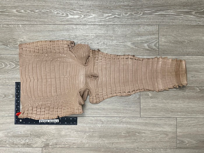 XL Tan Almond Genuine Crocodile Belly Tail Hide Leather Skin real alligator 405