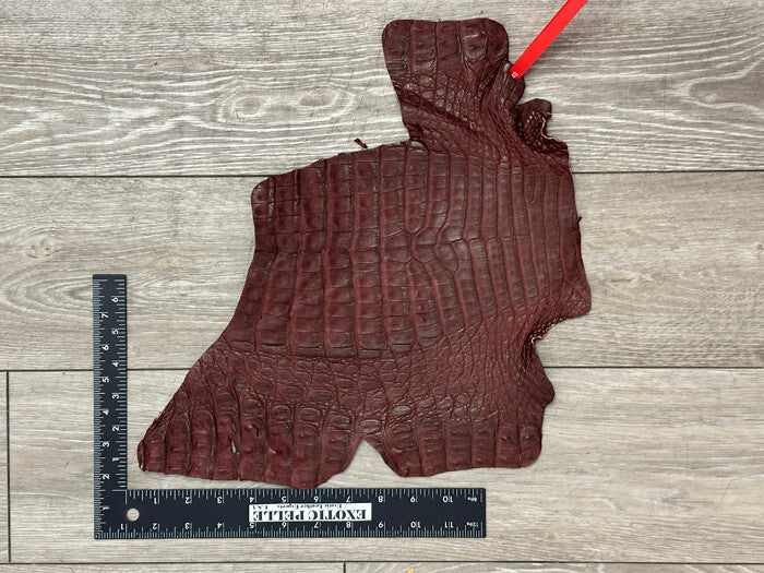 Wine Genuine Caiman Crocodile belly Hide Leather Skin real alligator Croc 340