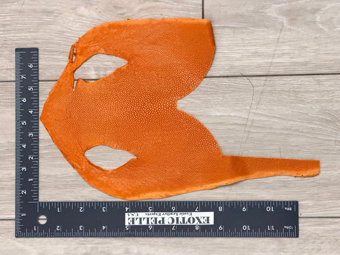 Orange Sanded Genuine Stingray Fish Leather Remnant 1052 product photo 2