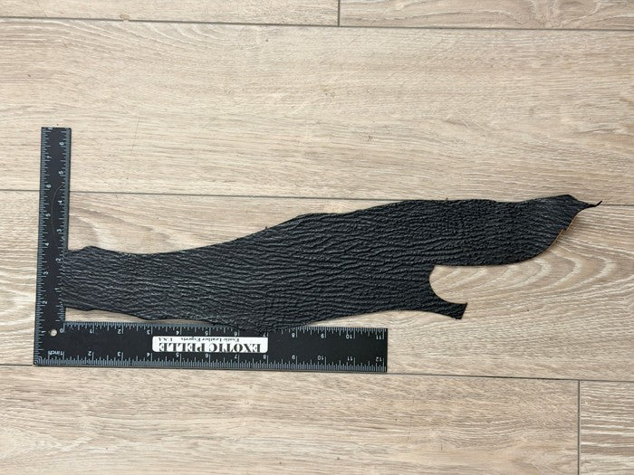 BLACK Genuine Shark Hide Skin Taxidermy Sharkskin Leather exotic Fish Tanned 245