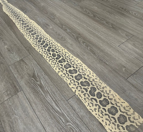 Ivory Natural Tan Anaconda Snake skin Leather real hide python boa rattle 373