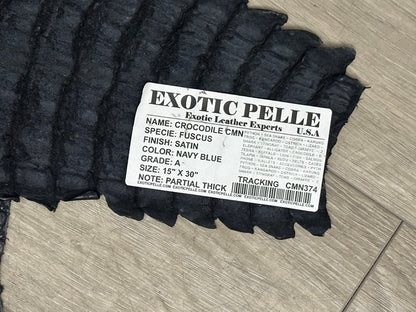 XXL Blue Navy Genuine Caiman Crocodile belly Hide Leather Skin Gator Croc 374