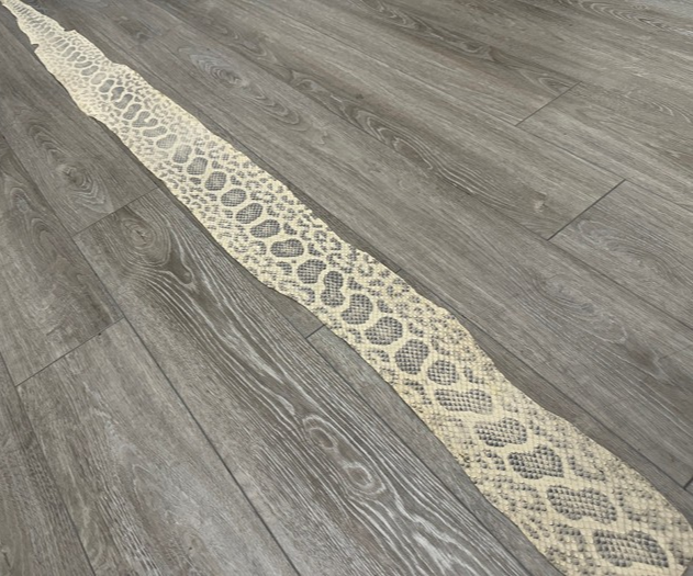 Ivory Natural Tan Anaconda Snake skin Leather real hide python boa rattle 396