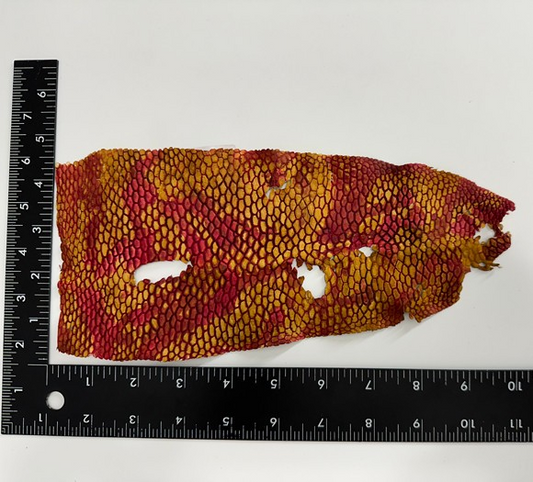 Multicolor Genuine Beaver Tail Crust Hide Skin Leather exotic fish shark 108