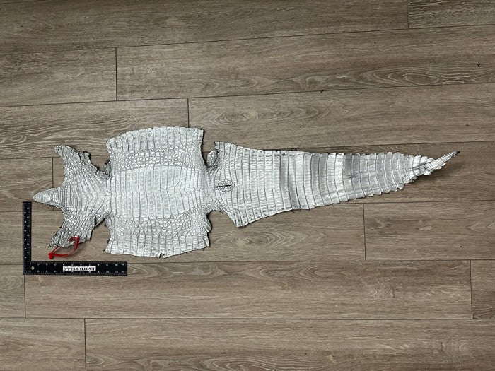 XL Silver Genuine Caiman Crocodile belly Hide Leather real alligator Croc 606