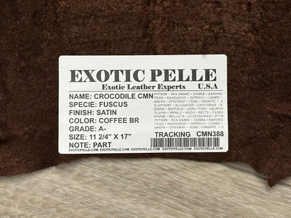 Brown Caiman Crocodile belly Hide Leather Skin real alligator remnant Croc 388