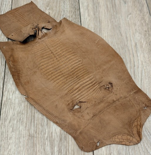Genuine Tegu Lizard Leather - Brown Glossy Belly Cut WYSIWYG 102 product photo 1