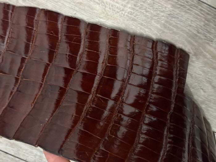 Mahogany Genuine Alligator Tail Hide Leather Skin Piece Scrap Gator Croc Belly 3