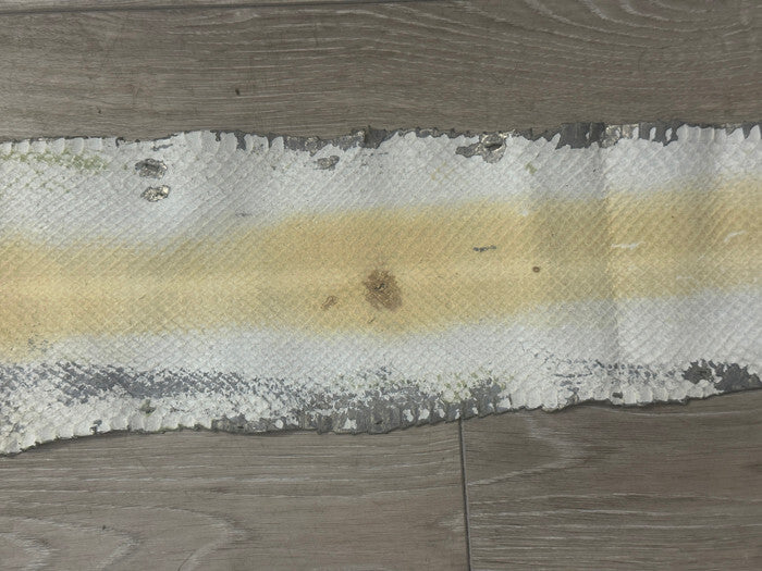 Green Natural Genuine Anaconda Snakeskin Leather real hide snake skin python 313