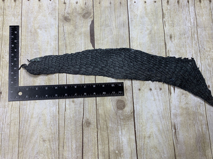 GREY CARP Hide Genuine Skin GLOSSY Fish Leather Tilapia Salmon Exotic GRAY 109