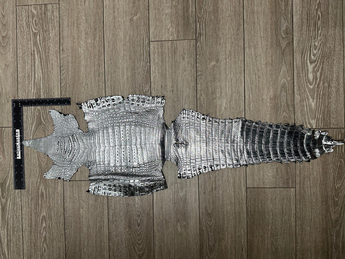 Silver Metallic Genuine Caiman Crocodile Belly Hide Leather Skin Alligator 460