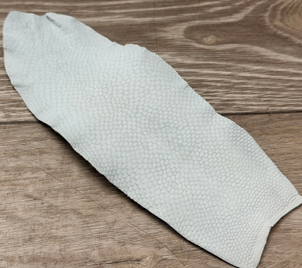 Genuine Beaver Tail Leather - White Crust WYSIWYG 183 product photo 1