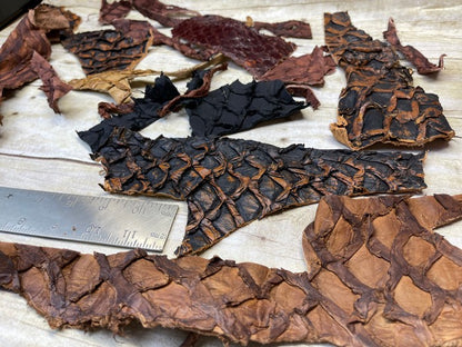 Genuine Pirarucu Leather scraps remnants product photo 2