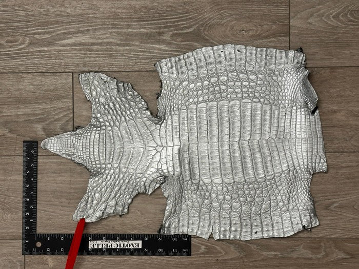 Silver Genuine Caiman Crocodile belly Hide Leather Skin real alligator Croc 607
