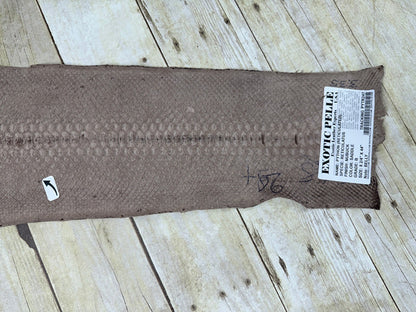 Saddle Big Genuine Python Snakeskin Leather real hide snake skin Rattle Boa 247