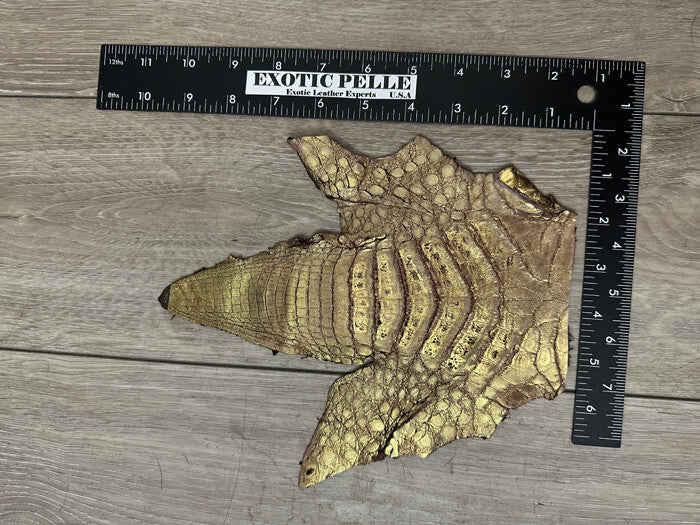 Gold Grape Metallic Caiman Crocodile belly Hide Leather Skin alligator Croc 543