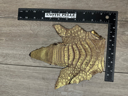 Gold Grape Metallic Caiman Crocodile belly Hide Leather Skin alligator Croc 543