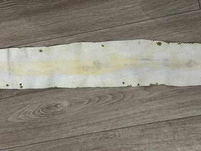 Green Natural Genuine Anaconda Snakeskin Leather real hide snake skin python 345