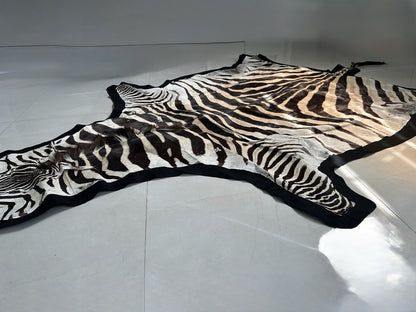 NEW JUMBO 10+ Foot Genuine African Burchells Zebra Rug Safari hair on Hide Skin
