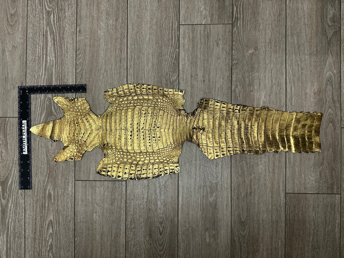 Gold Metallic Genuine Caiman Crocodile Belly Hide Leather Skin Alligator 471