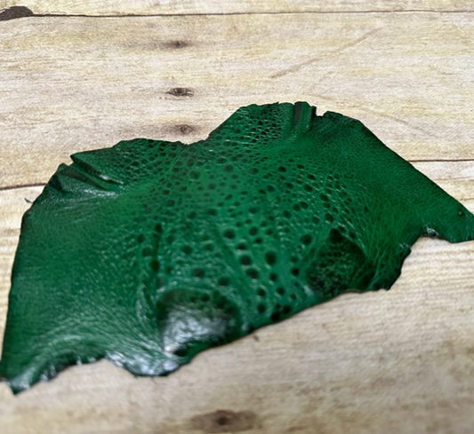 Green TOAD Hide Genuine Leather GLOSSY cane frog Exotic rana Skin Taxidermy 246