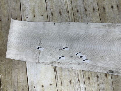 Silver on Natural Genuine Python Remnant piece Leather real hide snake skin 238