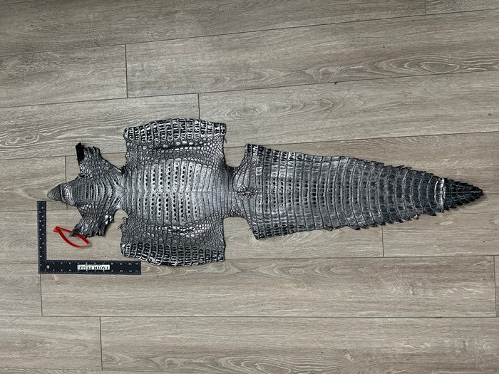 XXL Silver on Black Caiman Crocodile Hide Leather real alligator Croc 605