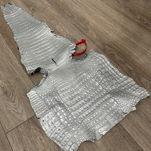 Silver Caiman Crocodile belly Hide Leather Skin remnant real alligator Croc 455