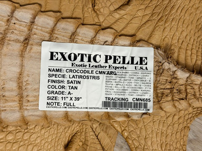 Genuine Caiman Crocodile Leather Tan Belly Cut Satin, product photo 5