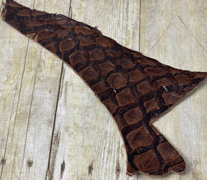 Brown Pirarucu Hide Genuine Skin Arapaimia Gigas Remnant Scrap Fish Leather 269