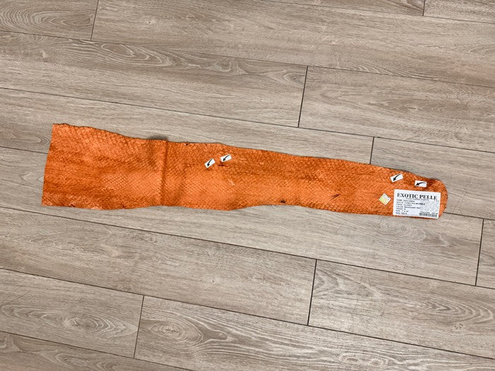 Mahogany Two Toned Natural Pattern Glossy Genuine Anaconda Snake Leather 546 product photo 3