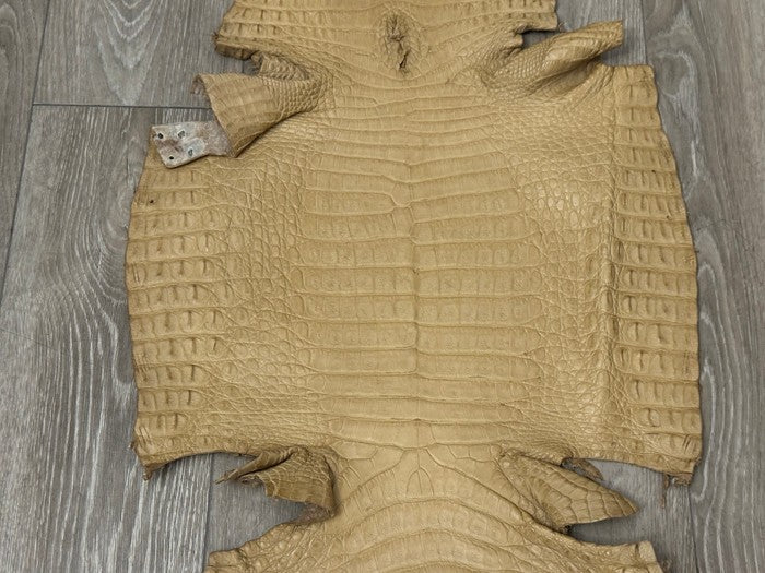 XL Tan Genuine Caiman Crocodile belly Hide Leather real alligator Croc 609