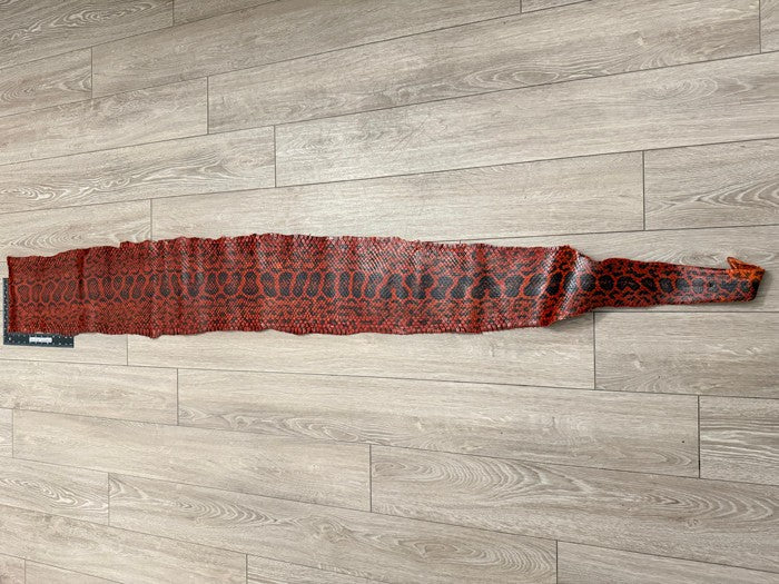 Mahogany Natural Pattern Glossy Genuine Anaconda Snake Leather 547 product photo 2