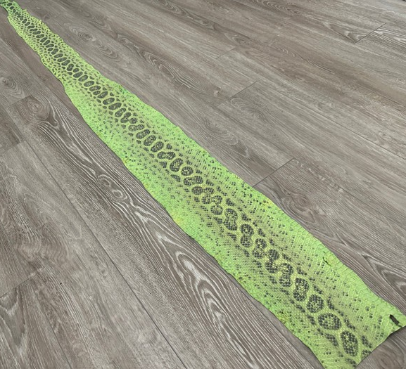 Green Natural Pattern Genuine Anaconda Snake Leather 258 product photo 1