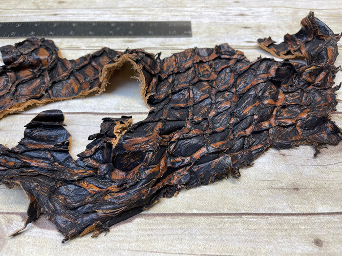 Cognac Pirarucu Hide Genuine Skin Arapaimia Gigas Remnant Scrap Fish Leather 213