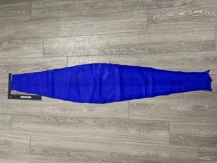 Royal Blue Genuine Python Leather real hide snake skin Rattle short tail Boa 167