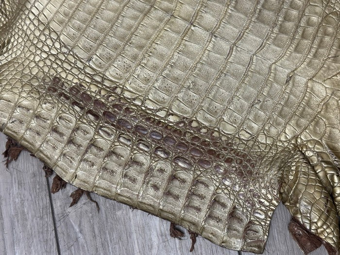 Gold Satin Genuine Caiman Crocodile Leather CMN495 product photo 6