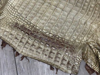 Gold Satin Genuine Caiman Crocodile Leather CMN495 product photo 6