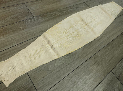 Gold Flake Genuine Python Jumbo Snakeskin Leather real hide snake skin Rattle 30