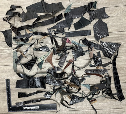 Alligator Scraps Remnants Piece Hide Leather Skin Scrap Gator Croc taxidermy 102