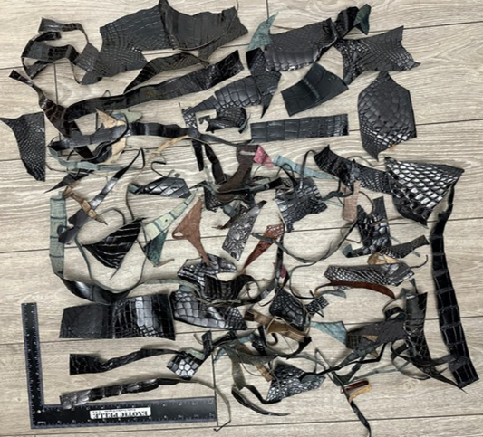 Alligator Scraps Remnants Piece Hide Leather Skin Scrap Gator Croc taxidermy 102