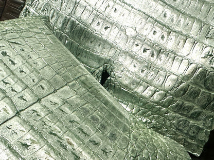 Green Metallic Genuine Caiman Crocodile Belly Hide Leather Skin Alligator 512