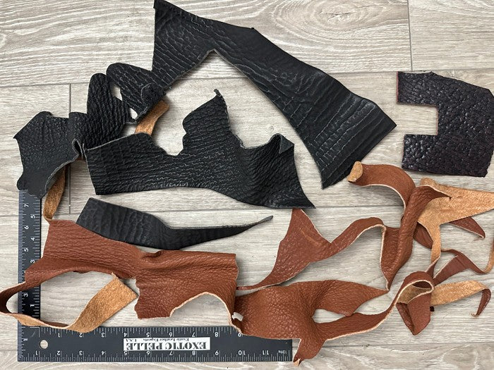 Genuine Shark Scraps Remnant Hide Leather Skin fish salmon remnants Scrap 22