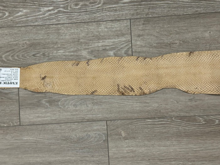 Tan Glossy Genuine Anaconda Leather real hide snake skin python boa rattle 327