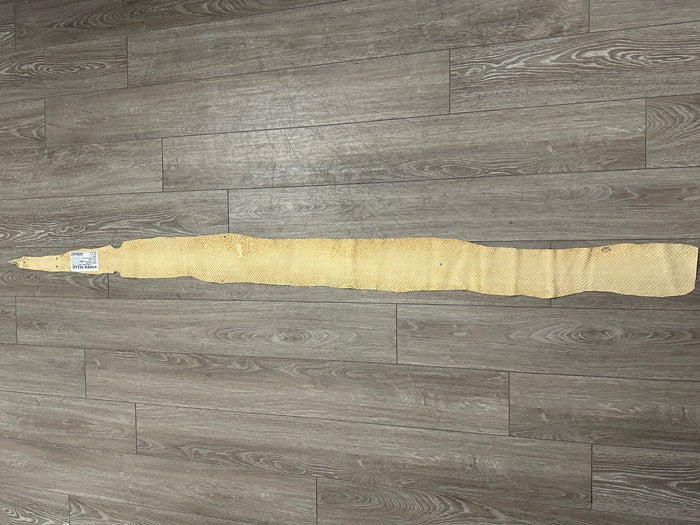 Ivory Natural Tan Anaconda Snake skin Leather real hide python boa rattle 396